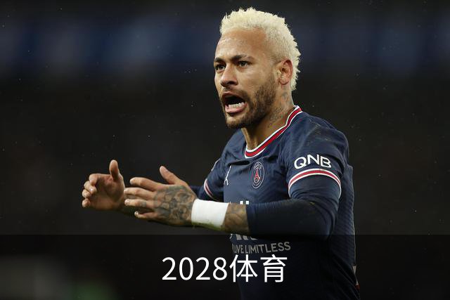 2028体育